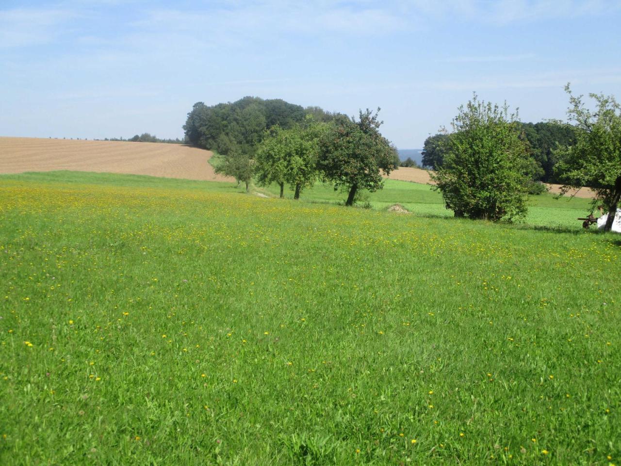 Blumenschein-Ferienwohnung Unne Kirchzell Екстериор снимка